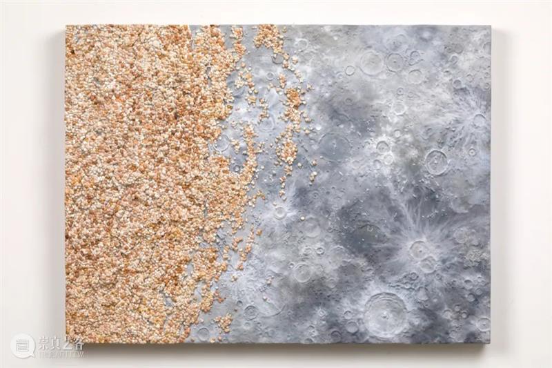 从蘑菇、像素到地质断层｜Roxy Paine Paine 像素 地质 蘑菇 断层 ROXY PAINE FAULT洛克西 潘恩 27街509号 崇真艺客