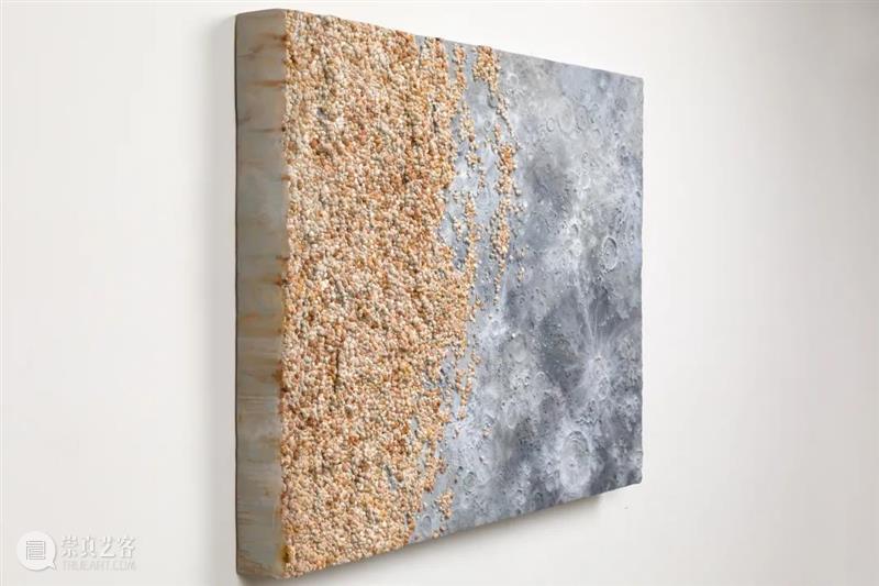 从蘑菇、像素到地质断层｜Roxy Paine Paine 像素 地质 蘑菇 断层 ROXY PAINE FAULT洛克西 潘恩 27街509号 崇真艺客