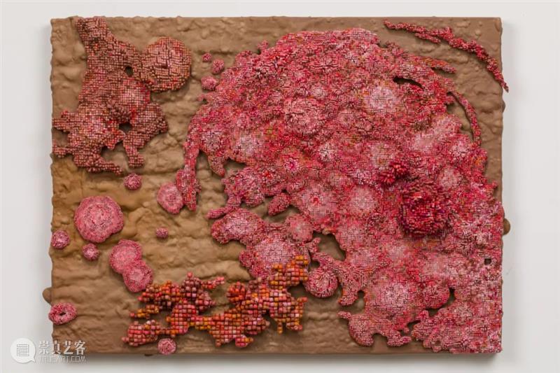 从蘑菇、像素到地质断层｜Roxy Paine Paine 像素 地质 蘑菇 断层 ROXY PAINE FAULT洛克西 潘恩 27街509号 崇真艺客