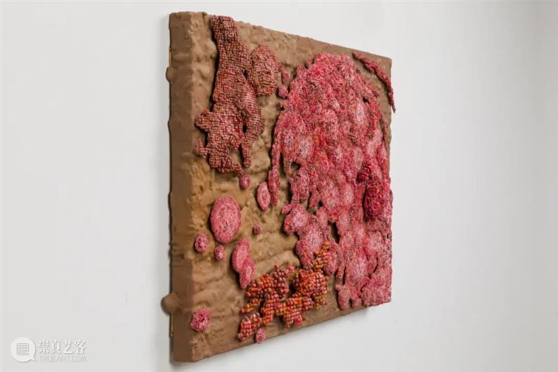 从蘑菇、像素到地质断层｜Roxy Paine Paine 像素 地质 蘑菇 断层 ROXY PAINE FAULT洛克西 潘恩 27街509号 崇真艺客