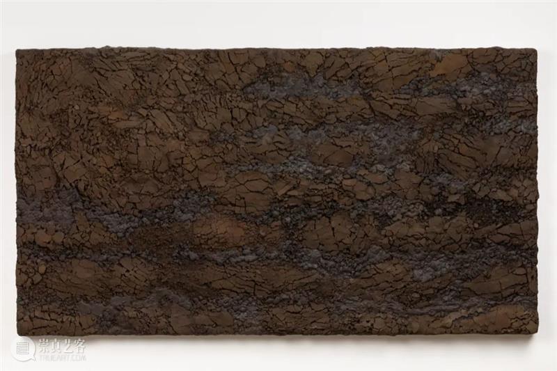 从蘑菇、像素到地质断层｜Roxy Paine Paine 像素 地质 蘑菇 断层 ROXY PAINE FAULT洛克西 潘恩 27街509号 崇真艺客