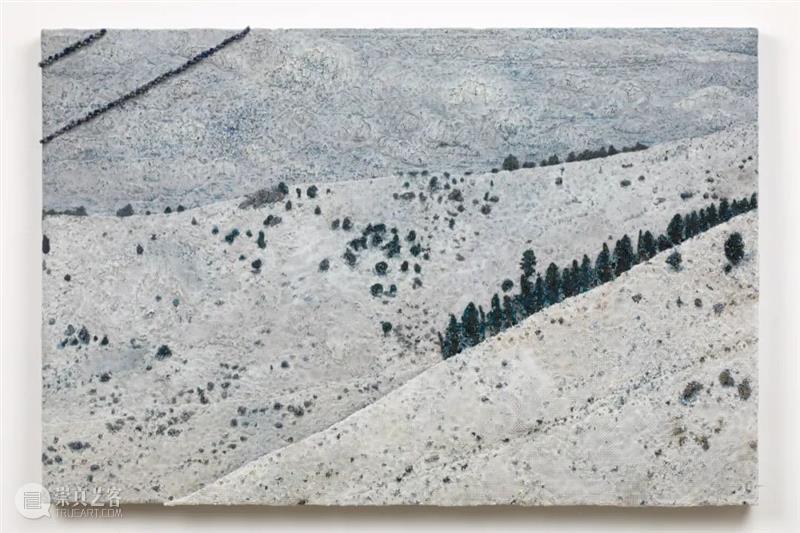 从蘑菇、像素到地质断层｜Roxy Paine Paine 像素 地质 蘑菇 断层 ROXY PAINE FAULT洛克西 潘恩 27街509号 崇真艺客