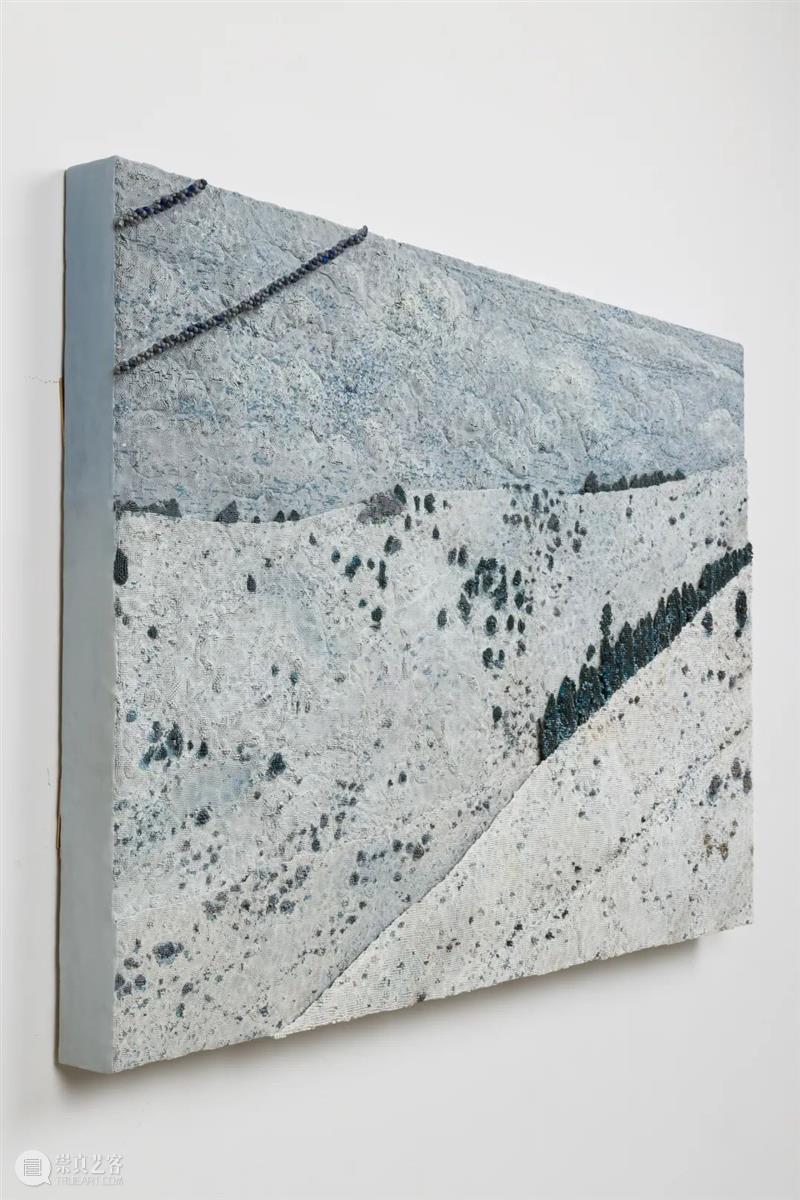 从蘑菇、像素到地质断层｜Roxy Paine Paine 像素 地质 蘑菇 断层 ROXY PAINE FAULT洛克西 潘恩 27街509号 崇真艺客