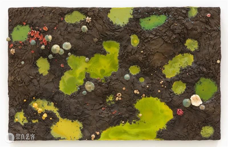 从蘑菇、像素到地质断层｜Roxy Paine Paine 像素 地质 蘑菇 断层 ROXY PAINE FAULT洛克西 潘恩 27街509号 崇真艺客