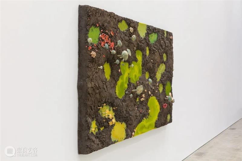 从蘑菇、像素到地质断层｜Roxy Paine Paine 像素 地质 蘑菇 断层 ROXY PAINE FAULT洛克西 潘恩 27街509号 崇真艺客