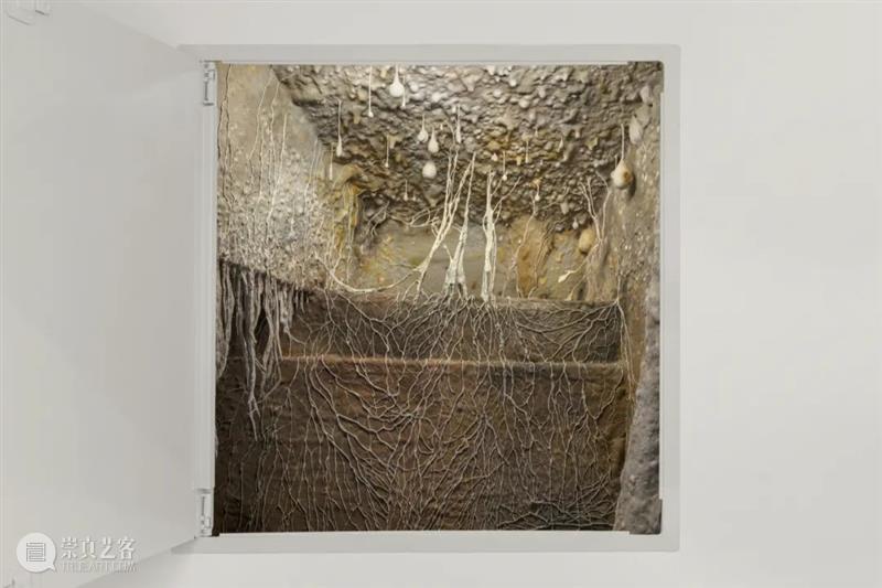 从蘑菇、像素到地质断层｜Roxy Paine Paine 像素 地质 蘑菇 断层 ROXY PAINE FAULT洛克西 潘恩 27街509号 崇真艺客