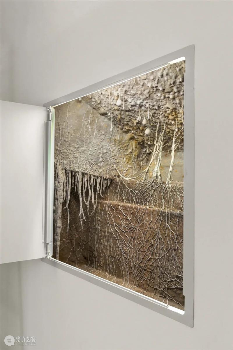 从蘑菇、像素到地质断层｜Roxy Paine Paine 像素 地质 蘑菇 断层 ROXY PAINE FAULT洛克西 潘恩 27街509号 崇真艺客