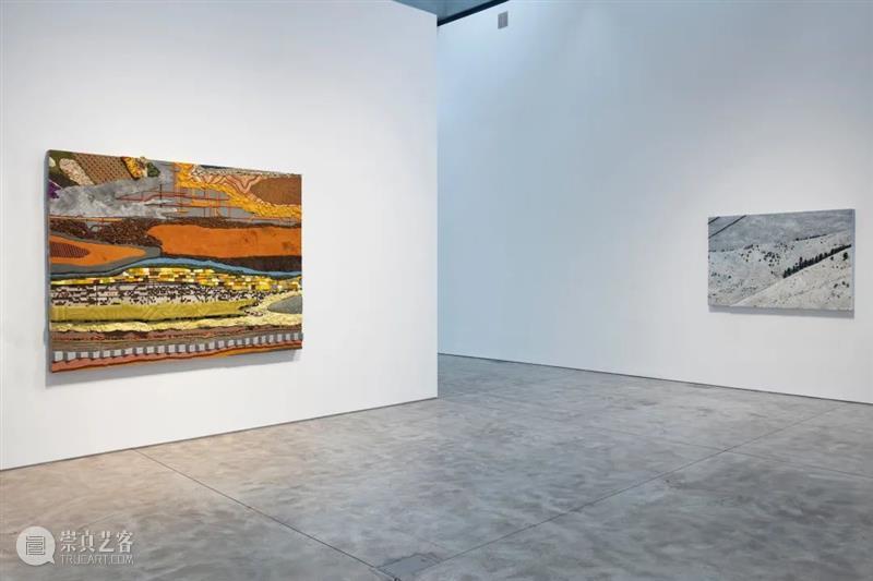 从蘑菇、像素到地质断层｜Roxy Paine Paine 像素 地质 蘑菇 断层 ROXY PAINE FAULT洛克西 潘恩 27街509号 崇真艺客