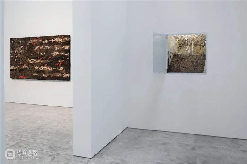 从蘑菇、像素到地质断层｜Roxy Paine Paine 像素 地质 蘑菇 断层 ROXY PAINE FAULT洛克西 潘恩 27街509号 崇真艺客