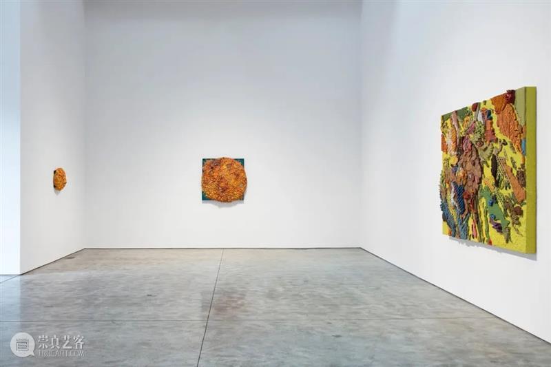 从蘑菇、像素到地质断层｜Roxy Paine Paine 像素 地质 蘑菇 断层 ROXY PAINE FAULT洛克西 潘恩 27街509号 崇真艺客