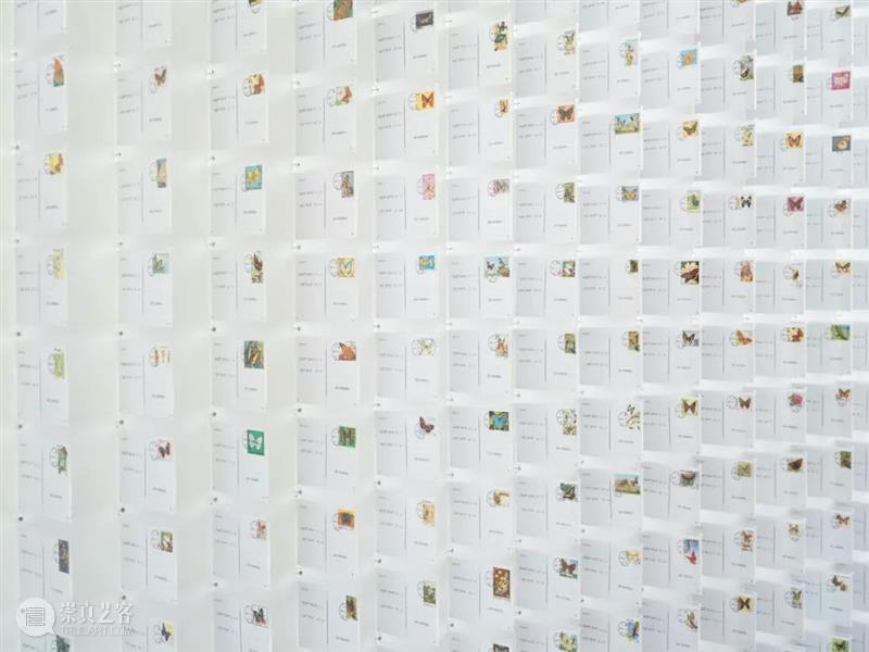 一个人在荒岛｜刘任/圈圈 一个人 荒岛 刘任 圈圈 生命 形式 艺术 系列展 主题 线索 崇真艺客