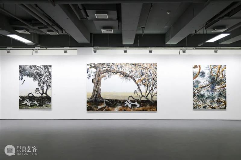 展览现场｜北京博乐德艺术中心｜威廉·麦金农《告别传递》 威廉 麦金农 告别传递 现场 北京博乐德艺术中心 Lee 画廊 北京顺义区博乐德艺术中心 澳大利亚 艺术家 崇真艺客