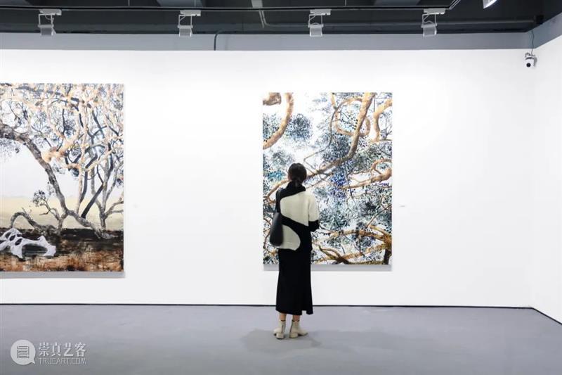 展览现场｜北京博乐德艺术中心｜威廉·麦金农《告别传递》 威廉 麦金农 告别传递 现场 北京博乐德艺术中心 Lee 画廊 北京顺义区博乐德艺术中心 澳大利亚 艺术家 崇真艺客