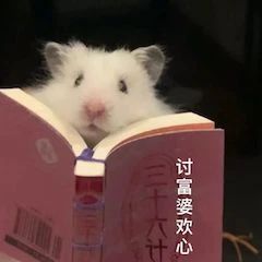 《悬崖之上》代表内地角逐奥斯卡;《唐顿庄园》影版续集曝预告 唐顿庄园 影版 续集 内地 悬崖之上 奥斯卡 预告 影视 好剧 小豆 崇真艺客