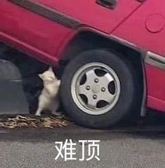 《悬崖之上》代表内地角逐奥斯卡;《唐顿庄园》影版续集曝预告 唐顿庄园 影版 续集 内地 悬崖之上 奥斯卡 预告 影视 好剧 小豆 崇真艺客