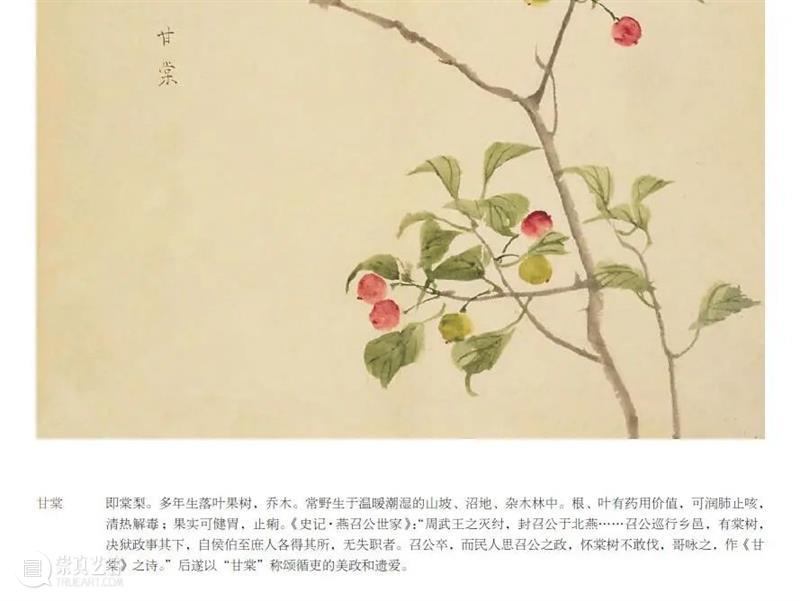 从觉醒年代走来的第一代女教授，她的《诗经译注》是yyds 年代 教授 诗经译注 觉醒年代 现象级 陈独秀 李大钊 胡适 蔡元培 先辈 崇真艺客