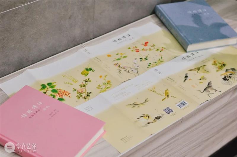 从觉醒年代走来的第一代女教授，她的《诗经译注》是yyds 年代 教授 诗经译注 觉醒年代 现象级 陈独秀 李大钊 胡适 蔡元培 先辈 崇真艺客