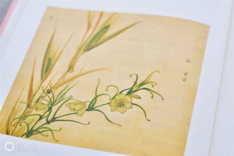 从觉醒年代走来的第一代女教授，她的《诗经译注》是yyds 年代 教授 诗经译注 觉醒年代 现象级 陈独秀 李大钊 胡适 蔡元培 先辈 崇真艺客