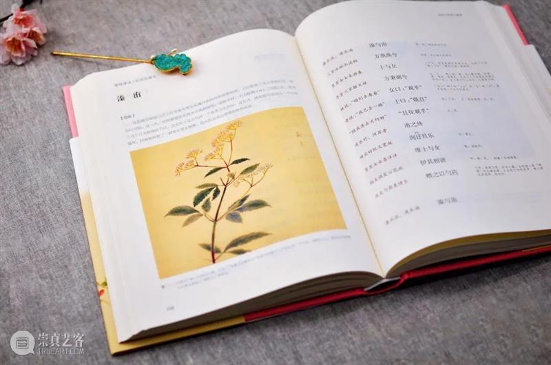 从觉醒年代走来的第一代女教授，她的《诗经译注》是yyds 年代 教授 诗经译注 觉醒年代 现象级 陈独秀 李大钊 胡适 蔡元培 先辈 崇真艺客