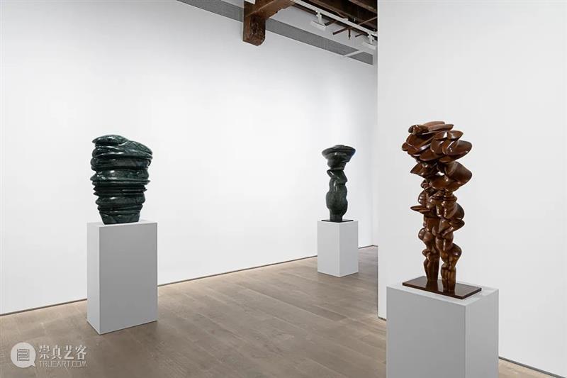 托尼·克拉格 (Tony Cragg)：21世纪的雕塑家 Cragg 托尼·克拉格 雕塑家 Sculptures Shanghai November Wang里森 艺术家 新作展 画廊 崇真艺客