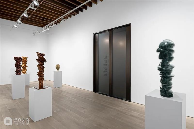 托尼·克拉格 (Tony Cragg)：21世纪的雕塑家 Cragg 托尼·克拉格 雕塑家 Sculptures Shanghai November Wang里森 艺术家 新作展 画廊 崇真艺客