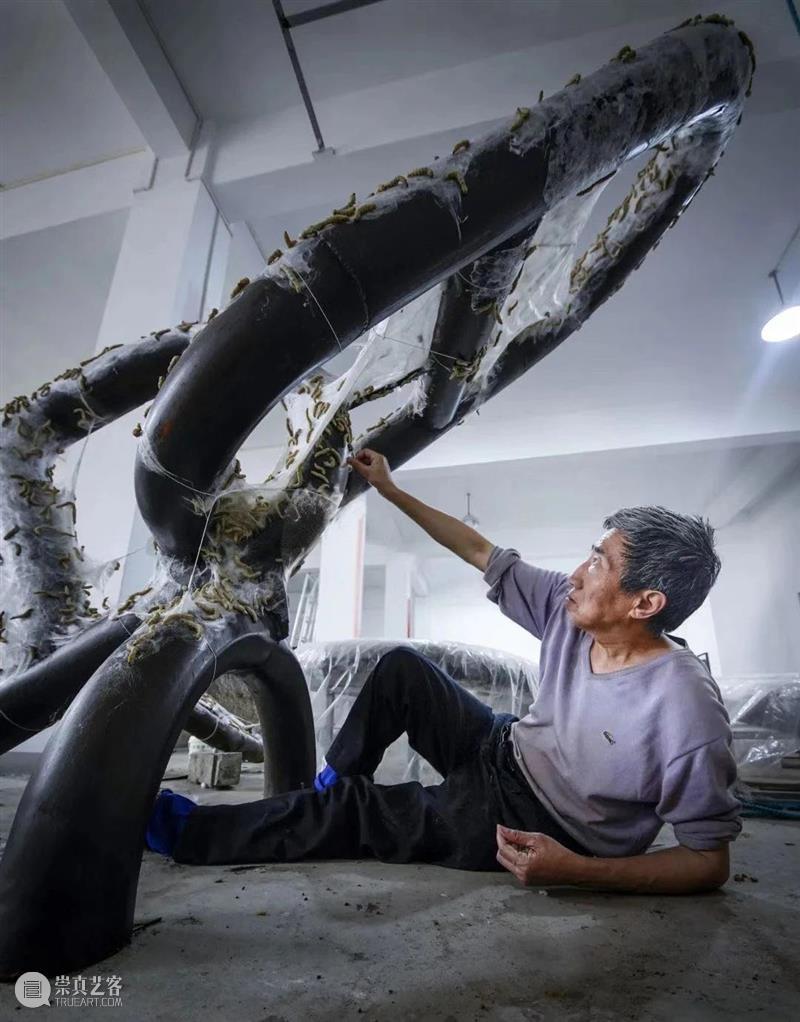 活动预告 | 《梁绍基：蚕我 我蚕》艺术家现场导览 梁绍基 现场 艺术家 活动 Shaoji Entanglement view 上海当代艺术博物馆 PSA 个展 崇真艺客