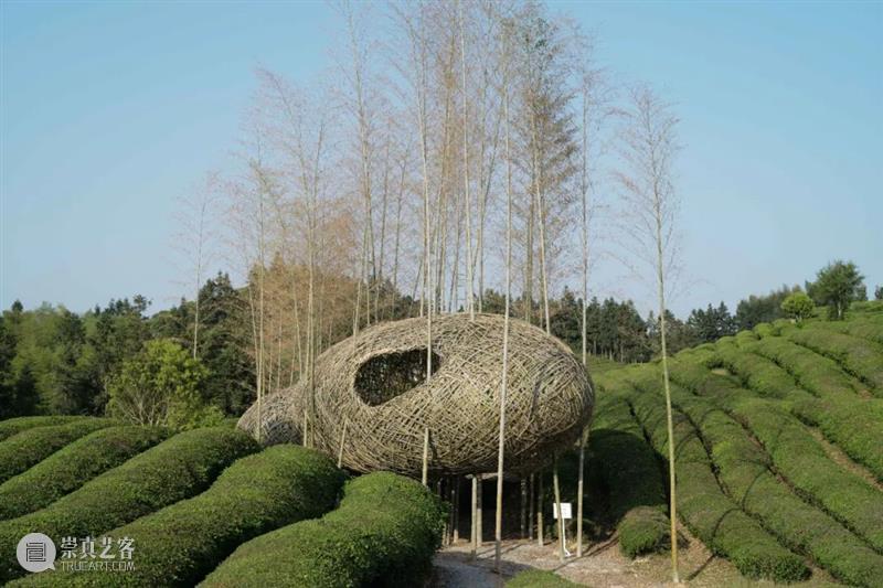 沈烈毅:液态——2021上海当代艺术展 参展艺术家 沈烈毅 艺术家 艺术展 上海 液态 展馆 临港 当代美术馆 滴水 湖光 崇真艺客