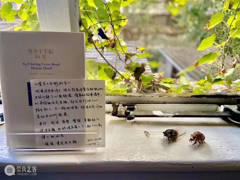 换書俱乐部「第二回：梧桐色」 書俱乐部 梧桐色 俱乐部 令狐磊 杂志 新周刊 主笔 创意 总监 生活月刊 崇真艺客