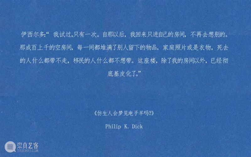 西岸艺术与设计博览会Video AI PLAZA：技术时代下的现实，影像艺术的创作可能 西岸 艺术 博览会 Video PLAZA 影像 现实 技术 时代 可能 崇真艺客