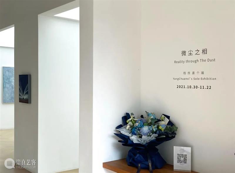 问象专访|杨传喜专访:于微尘中,悉见诸世界 杨传喜 微尘 世界 微尘之相 现场 画面 意念 修罗场 精神 一片天 崇真艺客