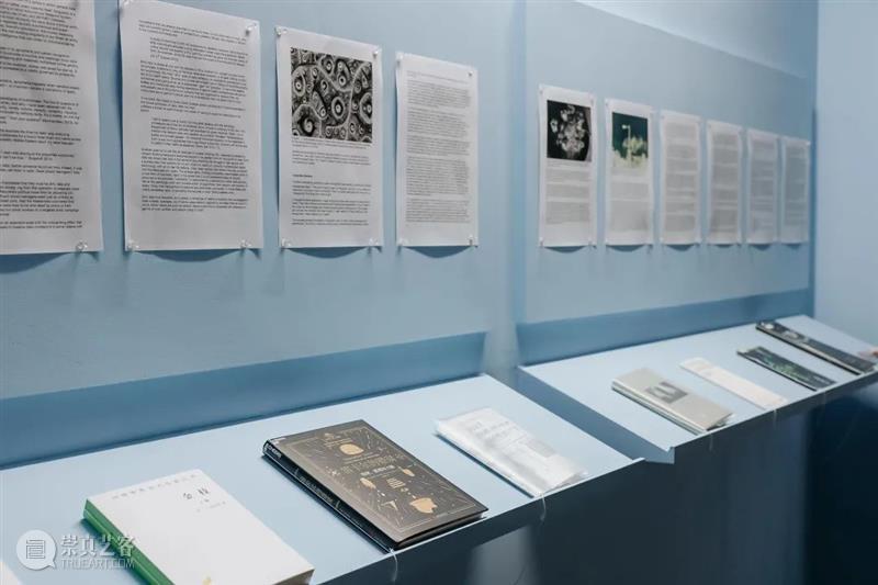 McaM 五周年丨展演艺术季明日开放 视频资讯 McaM McaM 艺术季 现场 当代美术馆 美术馆 名单 门票 上海 艺术 展览 崇真艺客