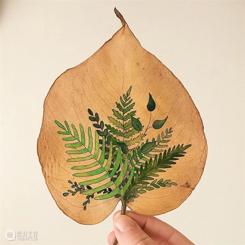 好清爽的手绘作品，看过之后夏天的烦闷一下子就消散了 ！  学美术，看▷ 作品 之后 END 崇真艺客