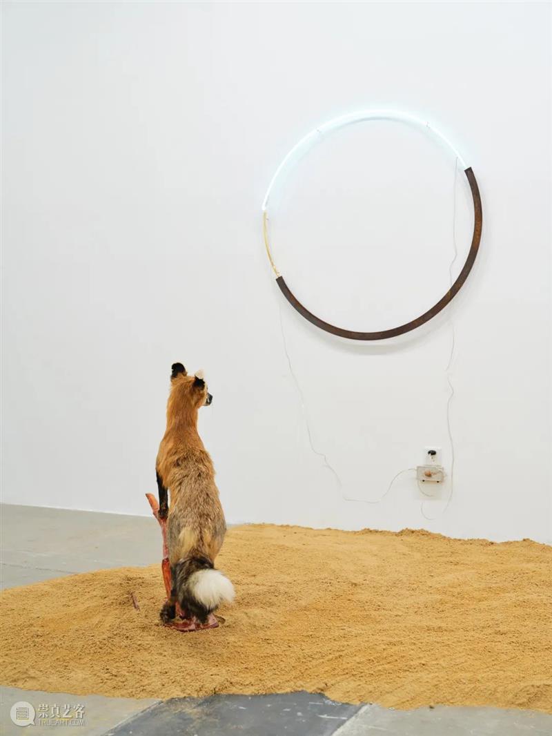 艺博会｜西岸艺术与设计博览会贝浩登展位现场｜展位A108  PERROTIN 西岸 艺术 博览会 现场 展位 艺博会 加百列 里科 张宏 图片 崇真艺客