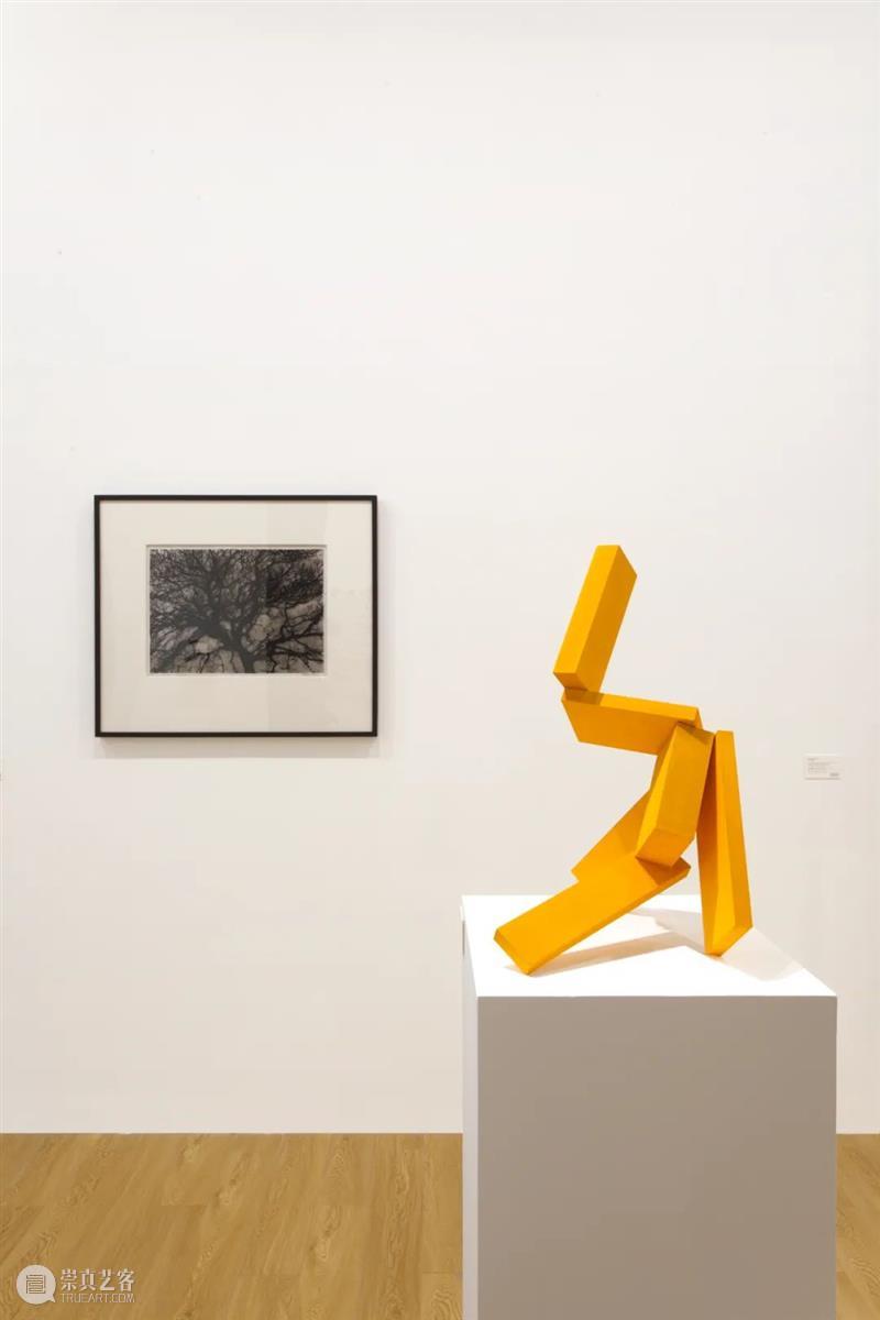 现场 | 佩斯画廊参展2021年西岸艺术与设计博览会 展位 A128 西岸 艺术 博览会 佩斯 画廊 展位 现场 Turrell Arad Glass 崇真艺客