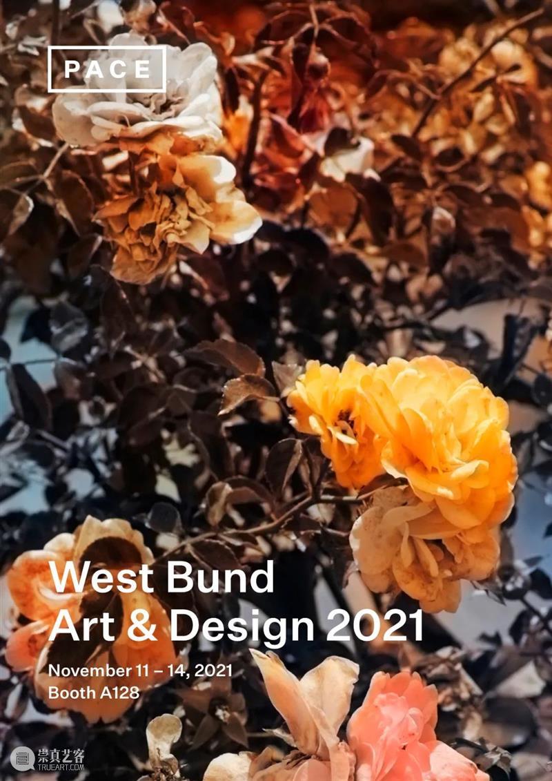 现场 | 佩斯画廊参展2021年西岸艺术与设计博览会 展位 A128 西岸 艺术 博览会 佩斯 画廊 展位 现场 Turrell Arad Glass 崇真艺客