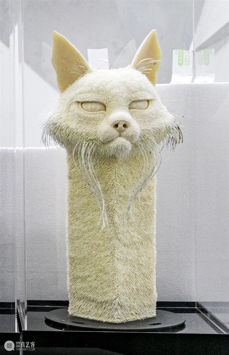 被发现了!吴中旺山深处,太惊艳! 旺山 深处 吴中 上方 青铜器 账号 人与人 缘份 缘分 韵味 崇真艺客