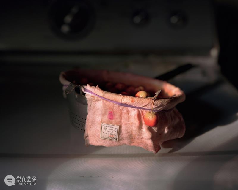 我找来好朋友的女儿来开启一段童年与现实交织的梦 好朋友 女儿 童年 现实 ?Susan 美国 金银花 摄影师 Worsham 作品 崇真艺客