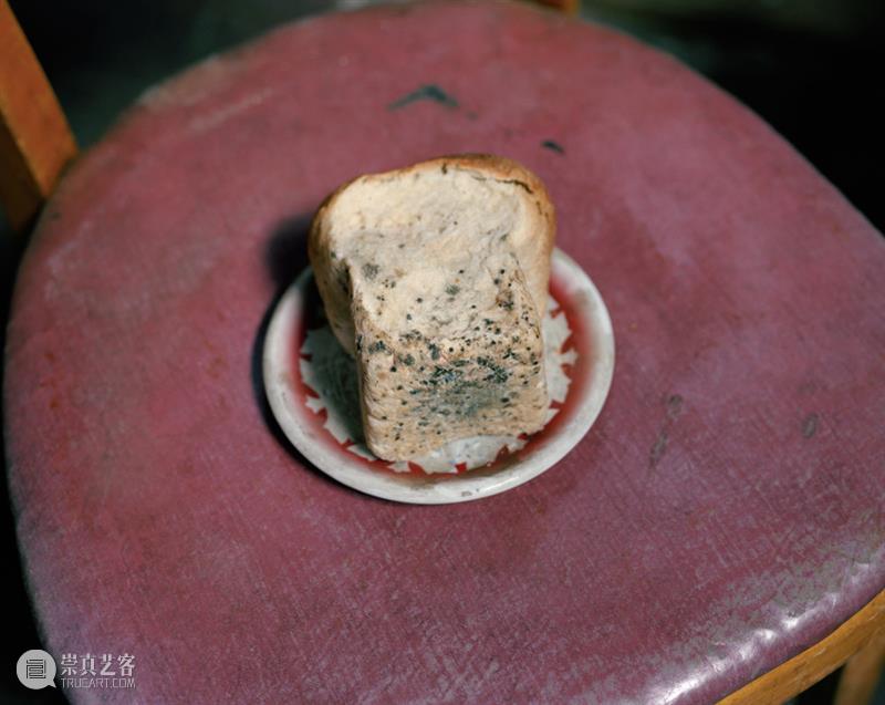 我找来好朋友的女儿来开启一段童年与现实交织的梦 好朋友 女儿 童年 现实 ?Susan 美国 金银花 摄影师 Worsham 作品 崇真艺客