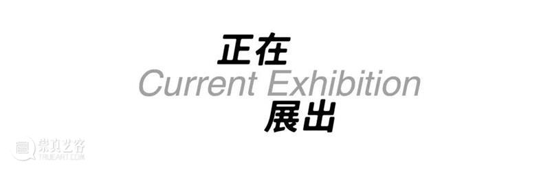 SCôP Photo Club | 郑安东:从移民史的角度理解个体身份与情感 郑安东 身份 Club 个体 情感 角度 移民史 讲座 现场 摄影师 崇真艺客