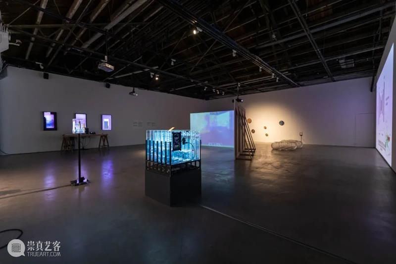 CAC · 开幕回顾 | 人工智能的兑现:解脱 人工智能 CAC 媒体 艺术 中心 帷幕 该展 策展 框架 部分 崇真艺客