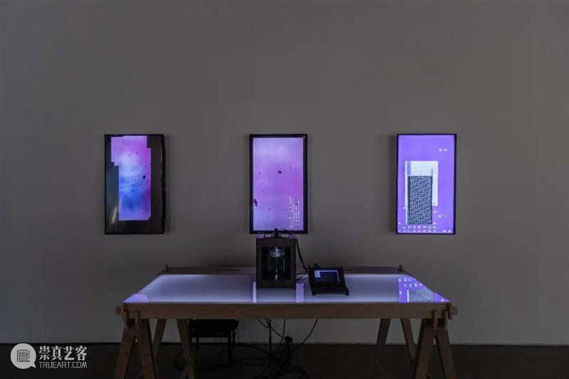 CAC · 开幕回顾 | 人工智能的兑现:解脱 人工智能 CAC 媒体 艺术 中心 帷幕 该展 策展 框架 部分 崇真艺客