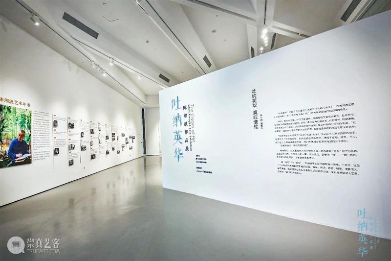 开幕回顾|「吐纳英华——陈湘波作品展」11月13日正式开幕! 吐纳英华 陈湘波 作品展 厦门宝龙艺术中心 北京大道 文化 活动 VIP 工笔 座谈会 崇真艺客