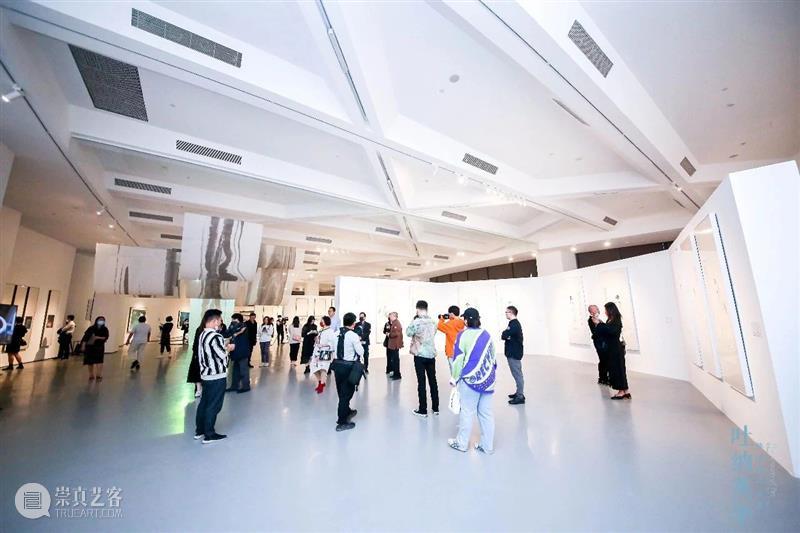 开幕回顾|「吐纳英华——陈湘波作品展」11月13日正式开幕! 吐纳英华 陈湘波 作品展 厦门宝龙艺术中心 北京大道 文化 活动 VIP 工笔 座谈会 崇真艺客