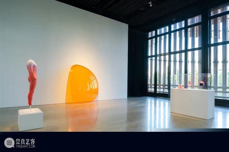 上海复星艺术中心为亚历克斯‧伊斯雷尔（Alex Israel）举办个展「自由公路」｜AR艺术家 艺术家 Israel 上海复星艺术中心 自由公路 伊斯雷尔 个展 亚历克斯 阿尔敏 莱希荣幸 画廊 崇真艺客