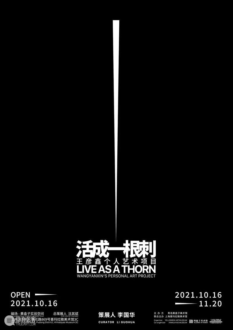 王彦鑫、李国华 ：一种对日常庸碌生活的反抗 王彦鑫 李国华 生活 个人 艺术 项目 磁场 盒子 空间 艺术家 崇真艺客