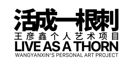 王彦鑫、李国华 ：一种对日常庸碌生活的反抗 王彦鑫 李国华 生活 个人 艺术 项目 磁场 盒子 空间 艺术家 崇真艺客