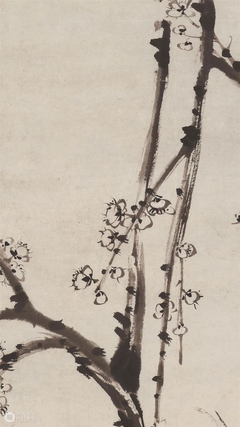 北京保利2021秋拍丨物遇其主 画获知音——石涛《梅石水仙》 石涛 梅石水仙 知音 北京保利 丨物 局部 Lot 石水仙 水墨 纸本 崇真艺客