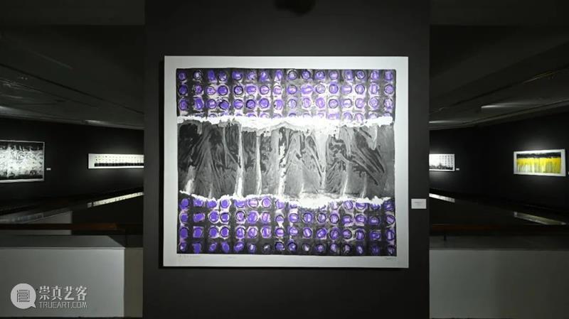 在水墨中颠覆与超越,李纲个展广东美术馆开幕 李纲 个展 广东美术馆 水墨 嘉宾 引子 当代 艺术家 元素 作品展 崇真艺客