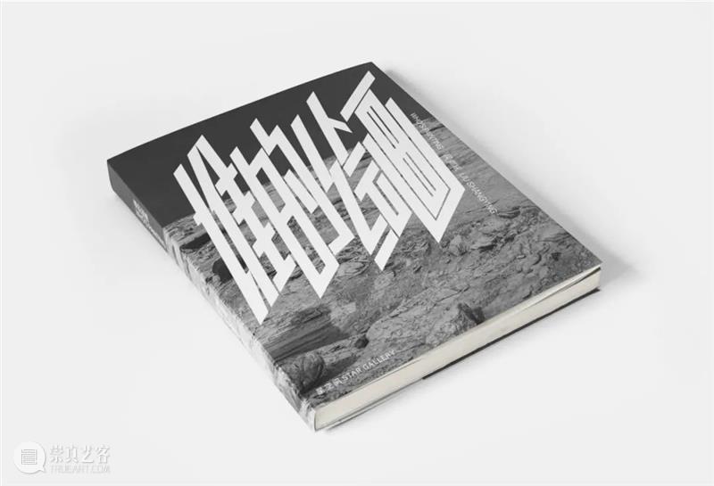 星空间｜刘商英个展『谁的绘画』将于11月20日开幕 刘商英 绘画 个展 星空间｜ Shangying Curator王 Che Opening 预告片 Who 崇真艺客