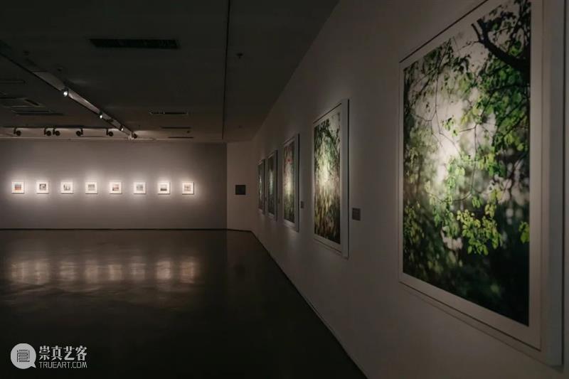 新展开幕 | ​ “百达摄影奖”：聚焦可持续 用镜头捕捉“希望” 百达摄影奖 希望 镜头 今日美术馆 Prix Pictet 仪式 馆长 张然 总监 崇真艺客